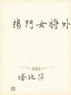 杨门女将外传