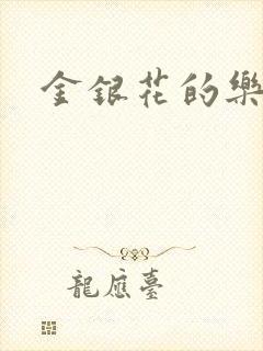 金银花的乐可封面