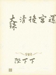 大清后宫还君明珠封面