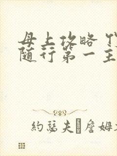 母上攻略 竹影随行第一主板