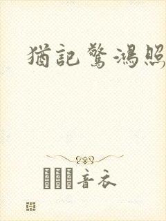 犹记惊鸿照影
