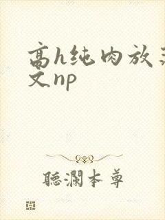 高h纯肉放荡h文np封面