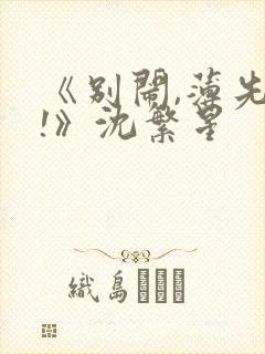《别闹,薄先生!》沈繁星