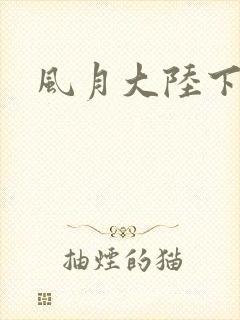 风月大陆下载封面