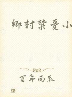 乡村禁爱小说