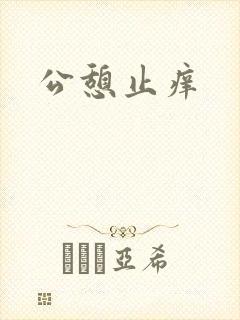 公憩止痒封面