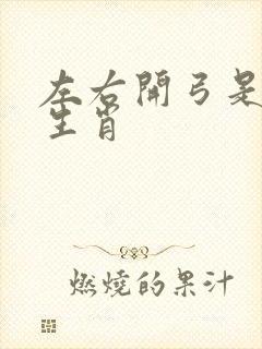 左右开弓是什么生肖
