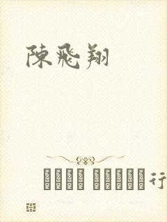 陈飞翔