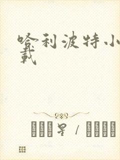 哈利波特小说下载封面