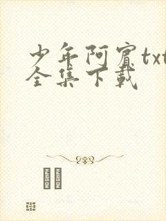 少年阿宾txt全集下载封面