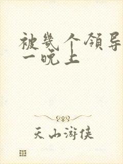 被几个领导玩弄一晚上