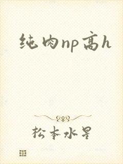 纯肉np高h