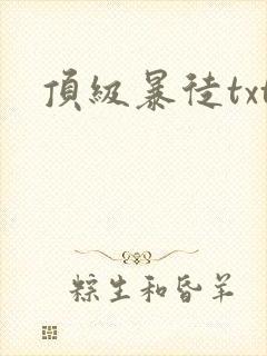 顶级暴徒txt封面