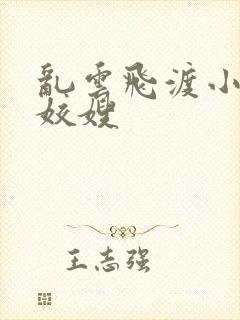 乱云飞渡小说之姣嫂