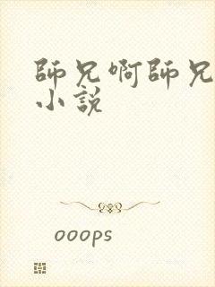 师兄啊师兄原著小说封面