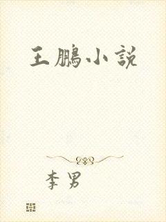 王鹏小说