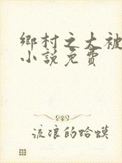 乡村之大被同眠小说免费