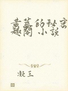 黄蓉的秘密 笔趣阁 小说封面