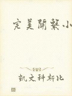 完美关系小说