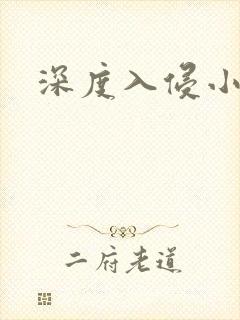 深度入侵小说