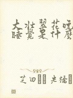 大壮翠花晚上不睡觉是什么电视剧