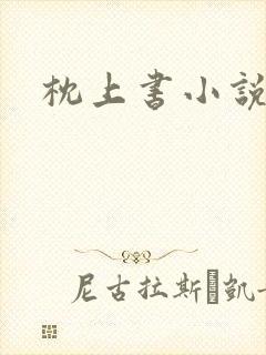 枕上书小说