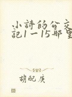 小诗的公交车日记1一15哪里能看