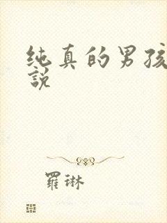 纯真的男孩子小说