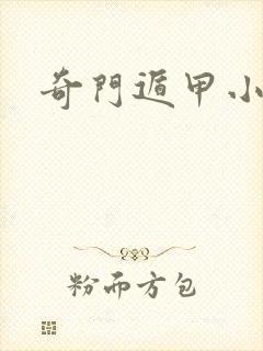 奇门遁甲小说