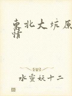 东北大坑原始激情