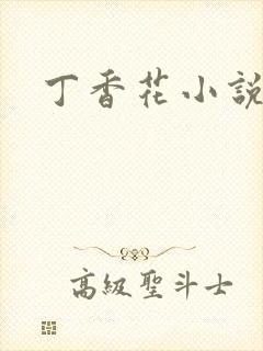 丁香花小说封面