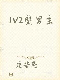 1V2双男主