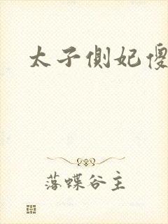太子侧妃傻乎乎封面