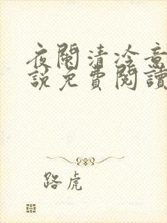 夜阑清冷意欢小说免费阅读