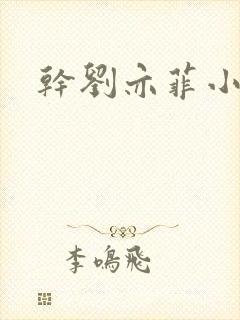 干刘亦菲小说