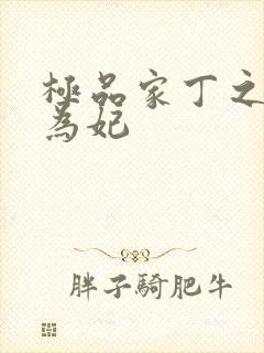 极品家丁之册母为妃封面