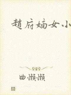 赵府嫡女小说
