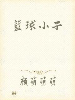 篮球小子封面