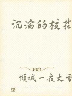 沉沦的校花