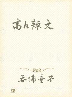 高h辣文