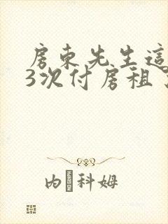 房东先生这是第3次付房租了封面