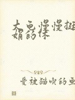 大龟慢慢挺进张娟的休