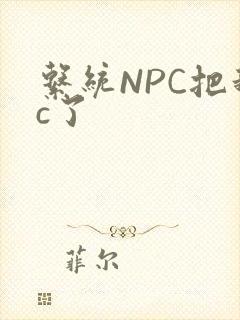 系统NPC把我c了