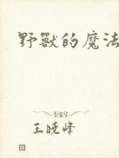 野兽的魔法师