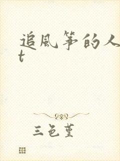 追风筝的人txt