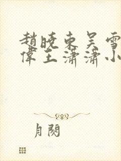 赵晓东吴雪晴郑伟王潇潇小说