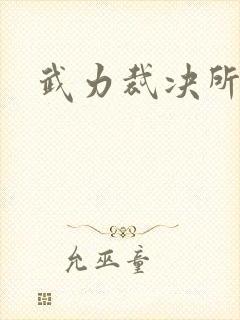 武力裁决所