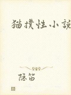 猫扑性小说