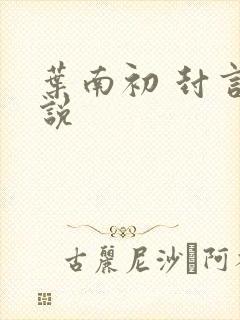 叶南初 封言小说