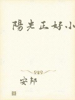 阳光正好小说